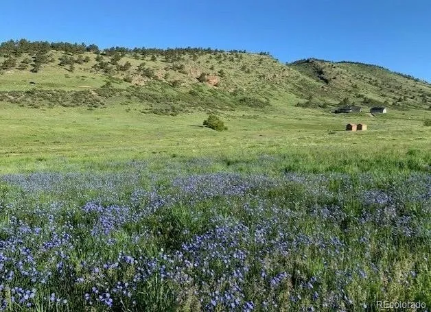 223 Stone Canyon Road Lyons, CO 80540