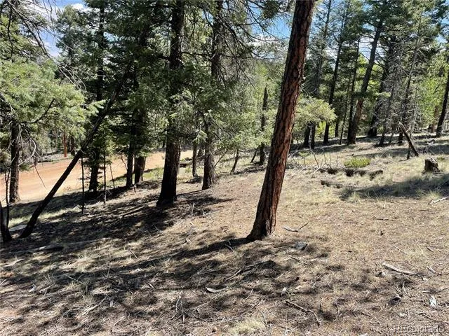 971 Spring Valley Lane Florissant, CO 80816
