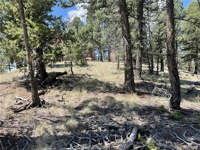 971 Spring Valley Lane Florissant, CO 80816