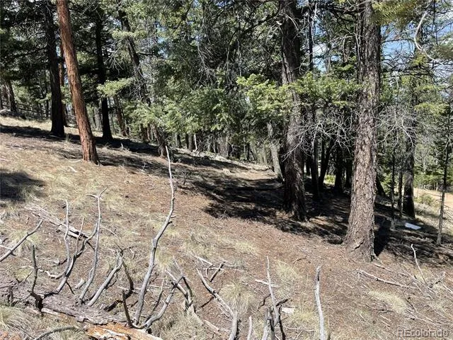 971 Spring Valley Lane Florissant, CO 80816