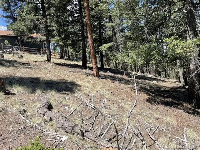 971 Spring Valley Lane Florissant, CO 80816