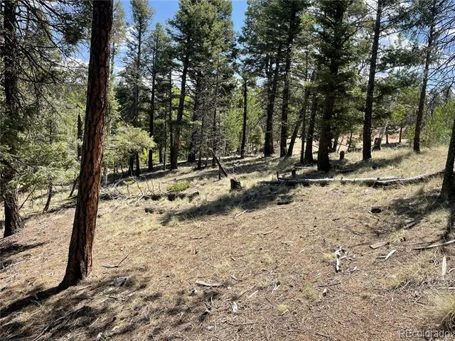 971 Spring Valley Lane Florissant, CO 80816
