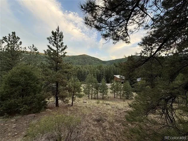2 Beaver Trail Antonito, CO 81120