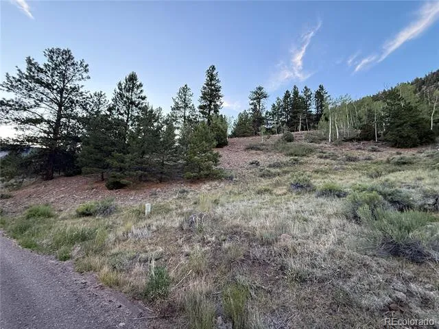 2 Beaver Trail Antonito, CO 81120