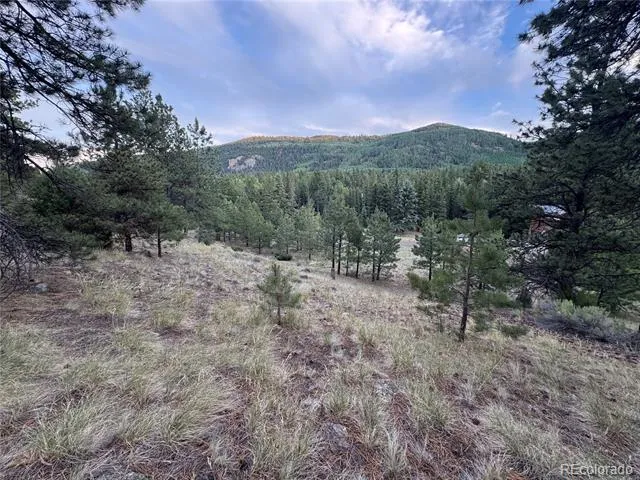 2 Beaver Trail Antonito, CO 81120