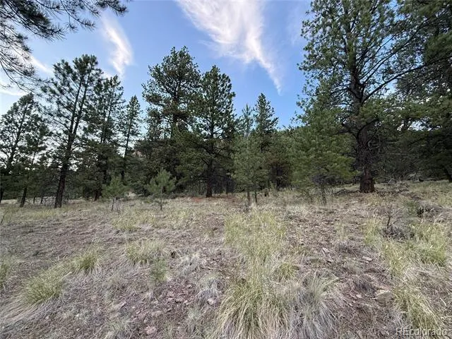 2 Beaver Trail Antonito, CO 81120