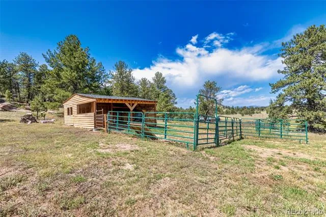 3153 Homestake Place Florissant, CO 80816