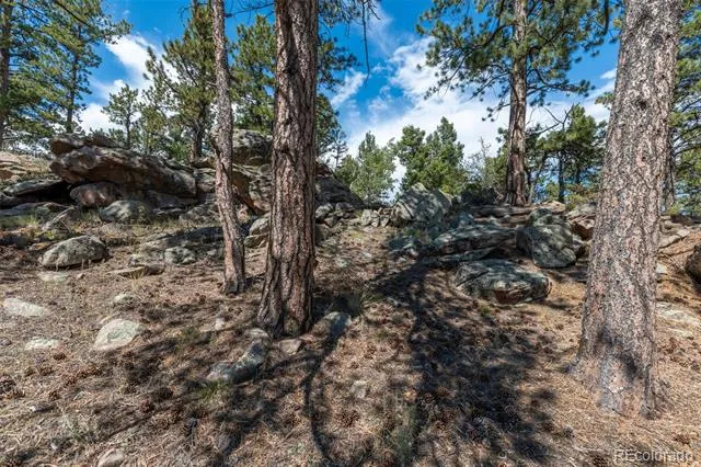 3153 Homestake Place Florissant, CO 80816
