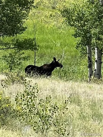 3153 Homestake Place Florissant, CO 80816