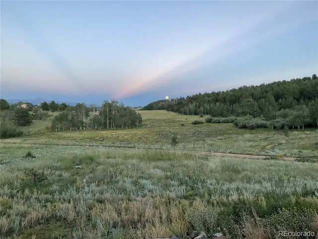 3153 Homestake Place Florissant, CO 80816