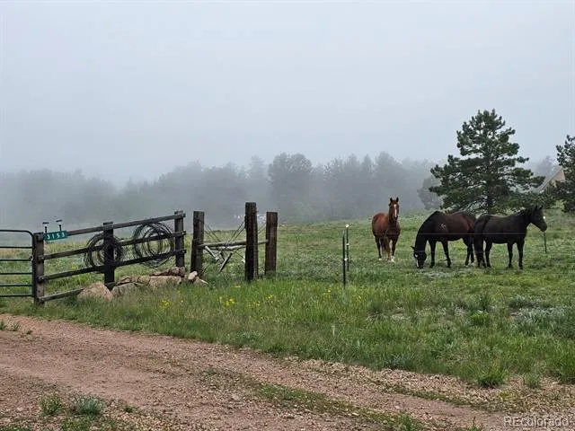 3153 Homestake Place Florissant, CO 80816