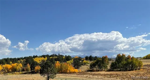3153 Homestake Place Florissant, CO 80816