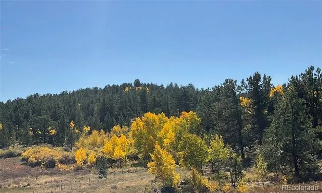 3153 Homestake Place Florissant, CO 80816