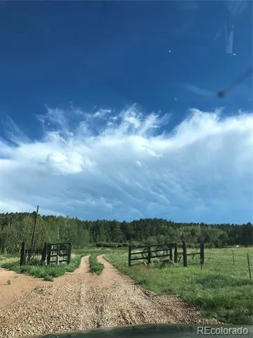 3153 Homestake Place Florissant, CO 80816