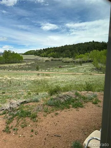 3153 Homestake Place Florissant, CO 80816