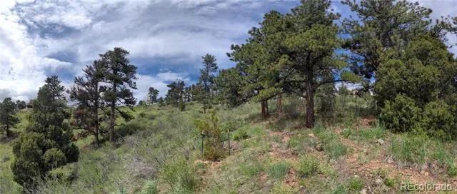 25421 Westridge Road Golden, CO 80403