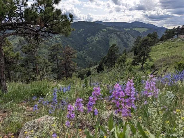 25421 Westridge Road Golden, CO 80403