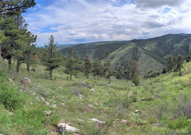 25421 Westridge Road Golden, CO 80403