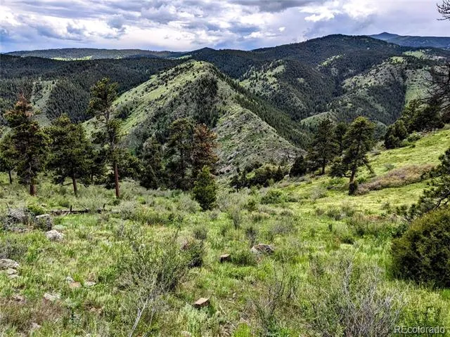 25421 Westridge Road Golden, CO 80403