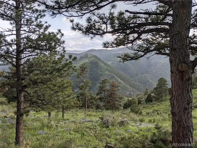 25421 Westridge Road Golden, CO 80403