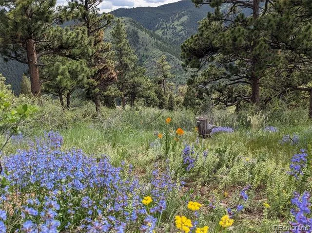 25421 Westridge Road Golden, CO 80403