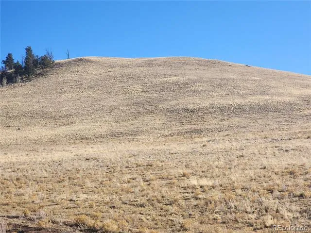 Coweta Trail Hartsel, CO 80449