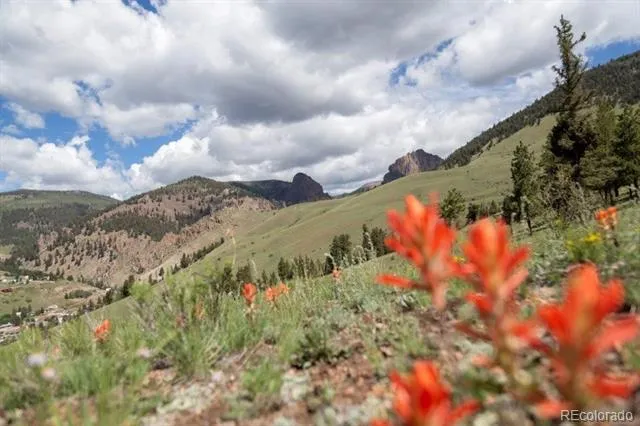 Address Not Shown Creede, CO 81130