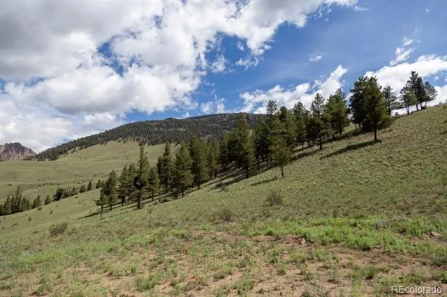 Address Not Shown Creede, CO 81130