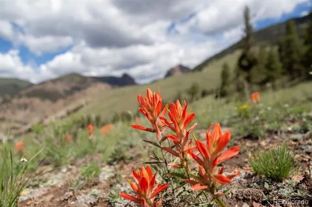 Address Not Shown Creede, CO 81130