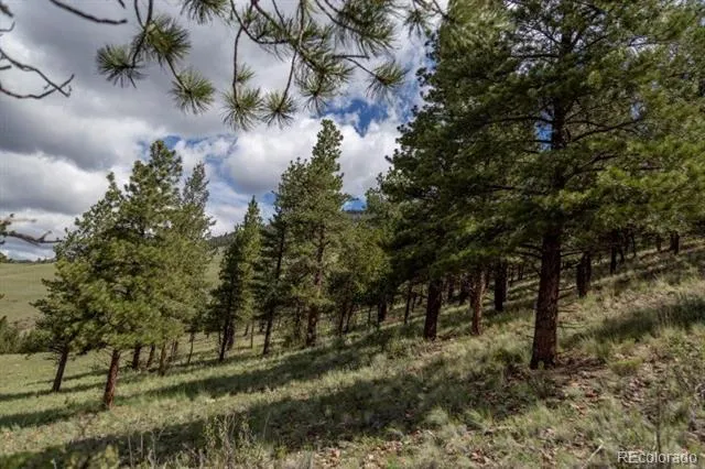 Address Not Shown Creede, CO 81130