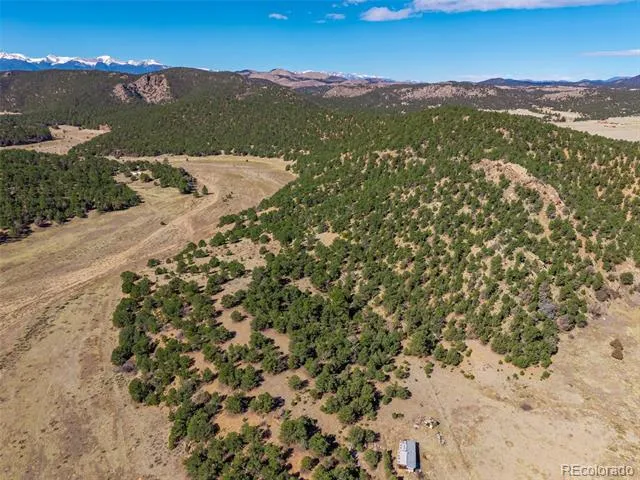 710 Mc Clure Gulch Road Cotopaxi, CO 81223