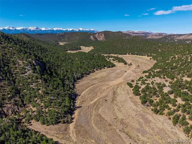 710 Mc Clure Gulch Road Cotopaxi, CO 81223