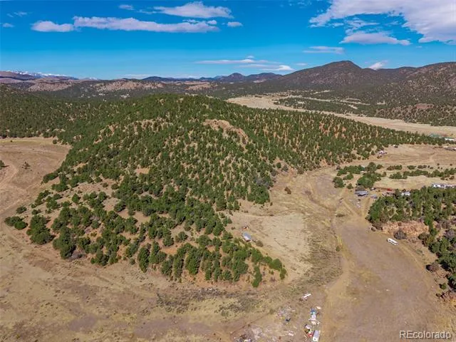 710 Mc Clure Gulch Road Cotopaxi, CO 81223