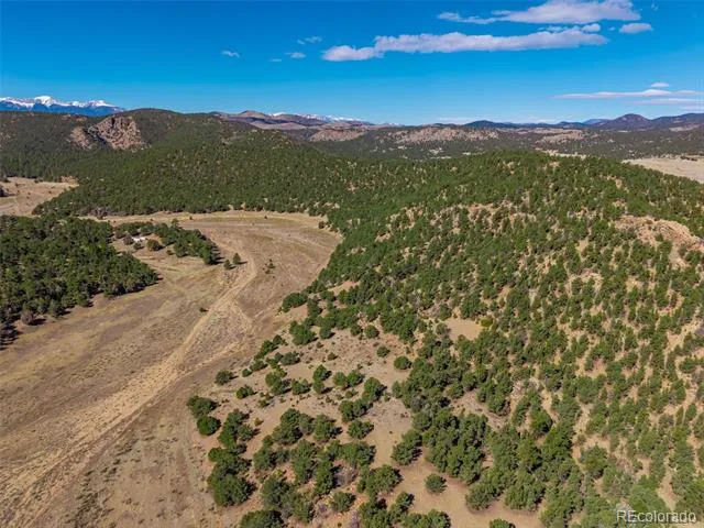 710 Mc Clure Gulch Road Cotopaxi, CO 81223