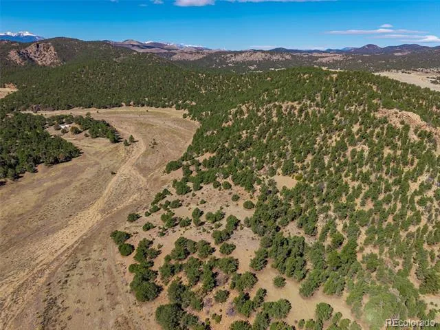710 Mc Clure Gulch Road Cotopaxi, CO 81223