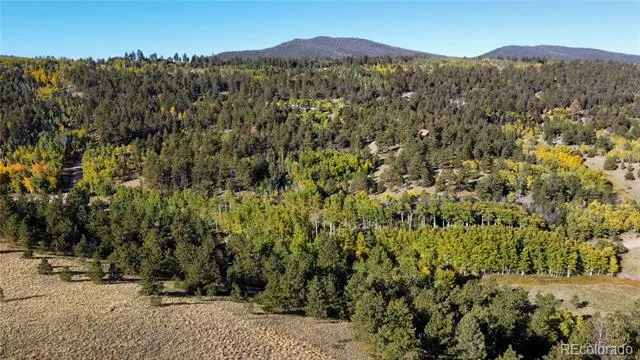 539 Tapedero Road Hartsel, CO 80449