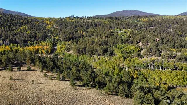 539 Tapedero Road Hartsel, CO 80449