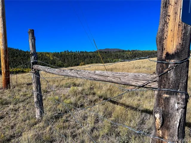 539 Tapedero Road Hartsel, CO 80449