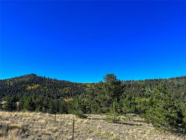 539 Tapedero Road Hartsel, CO 80449