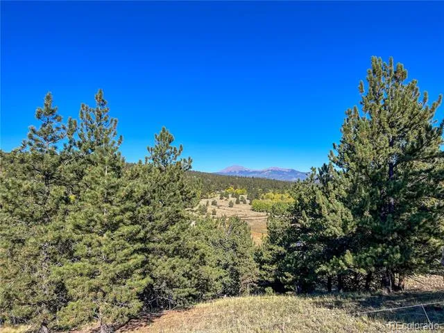 539 Tapedero Road Hartsel, CO 80449