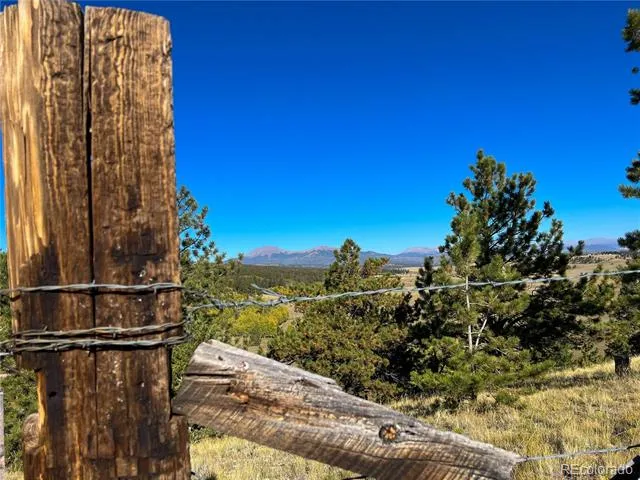 539 Tapedero Road Hartsel, CO 80449