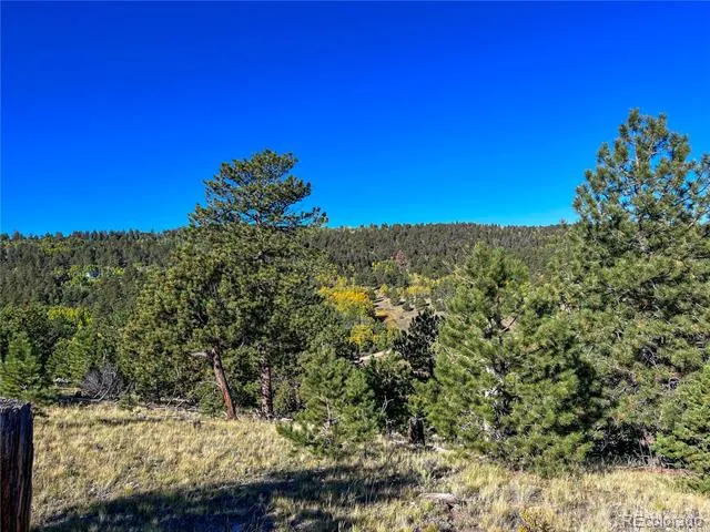 539 Tapedero Road Hartsel, CO 80449