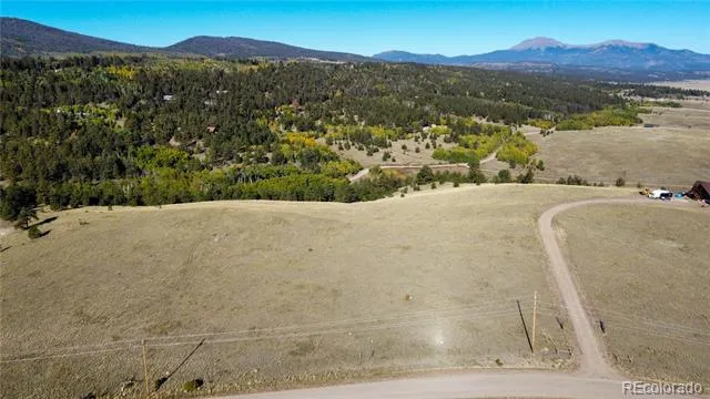 539 Tapedero Road Hartsel, CO 80449