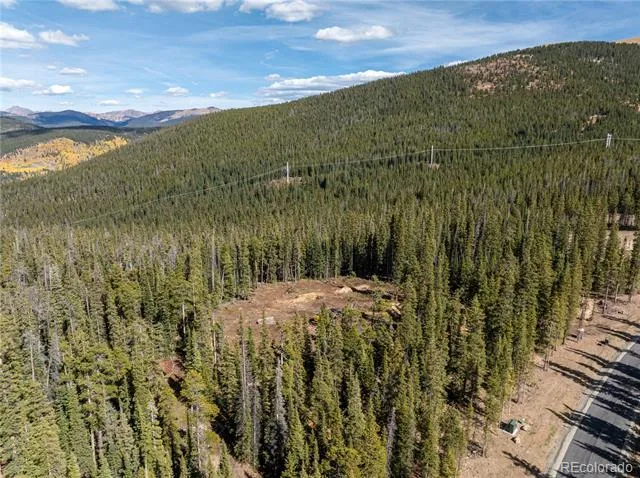 Address Not Shown Breckenridge, CO 80424