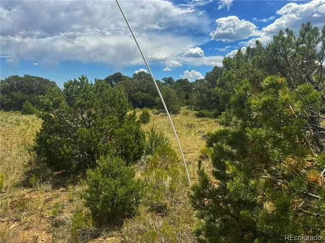 106 Colorado Land & Grazing Walsenburg, CO 81089
