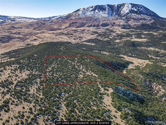 106 Colorado Land & Grazing Walsenburg, CO 81089