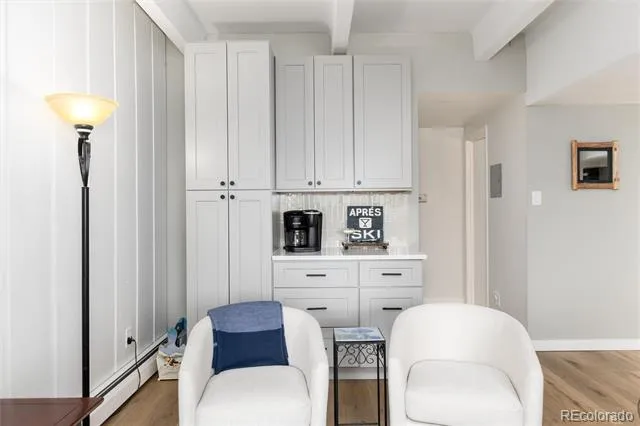 370 E La Bonte Street #E Dillon, CO 80435