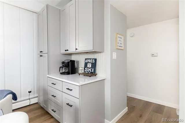 370 E La Bonte Street #E Dillon, CO 80435