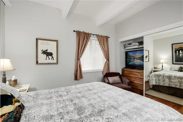 370 E La Bonte Street #E Dillon, CO 80435