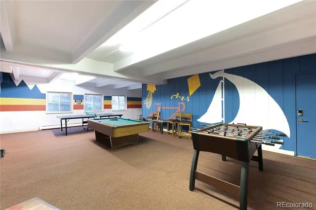 370 E La Bonte Street #E Dillon, CO 80435